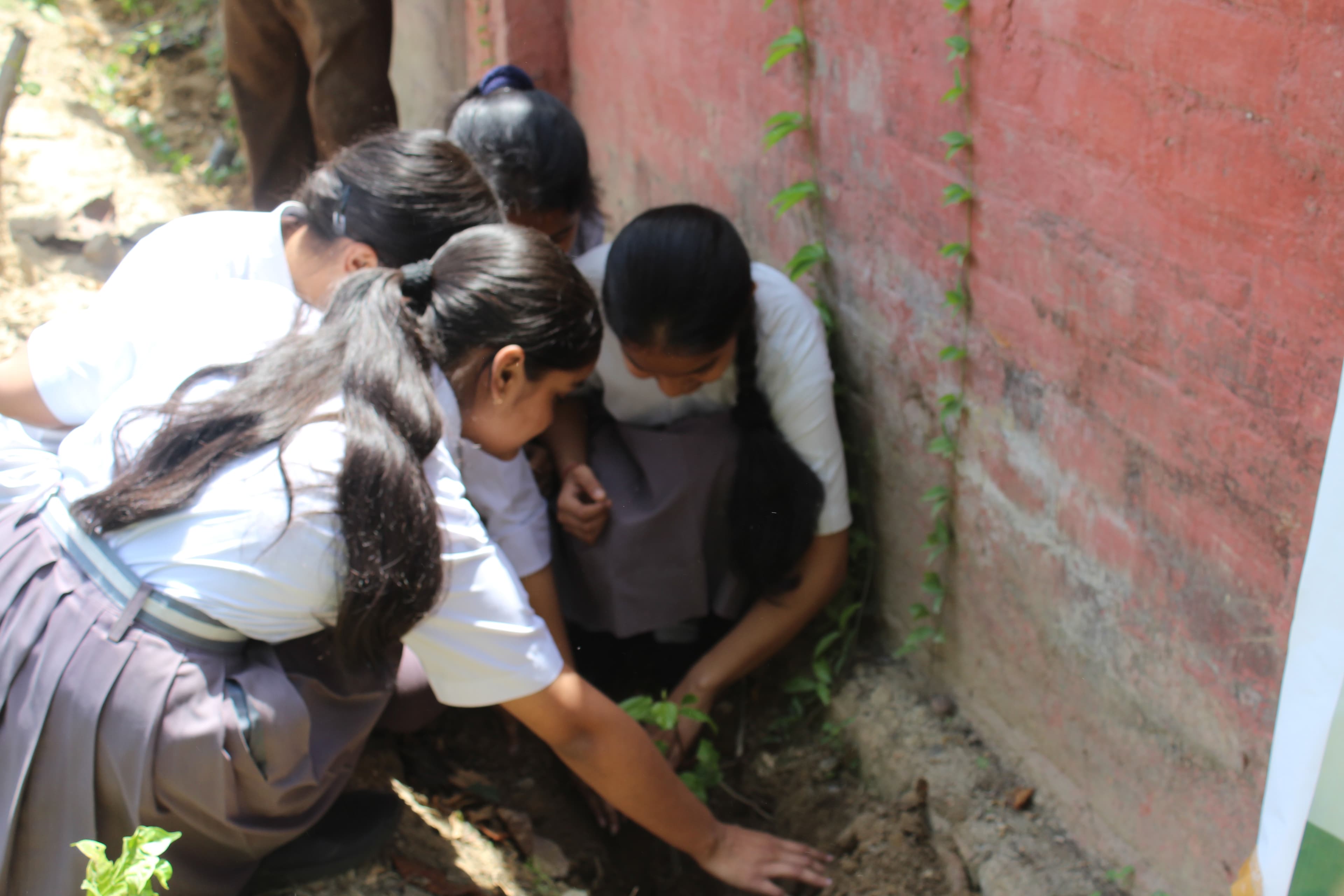 We Planted Nearly 1,000 Trees in Lucknow. Here's Why It Mattered More Than We Expected. thumbnail preview: img 3264