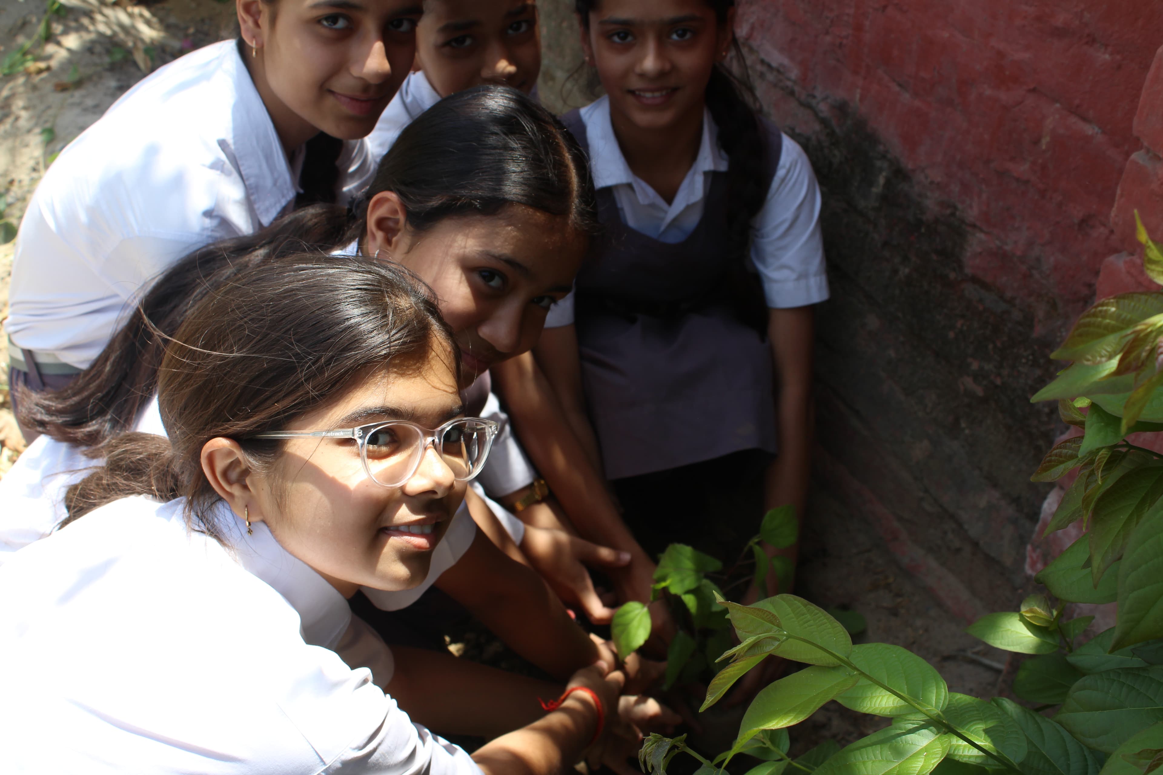 We Planted Nearly 1,000 Trees in Lucknow. Here's Why It Mattered More Than We Expected. thumbnail preview: img 3295