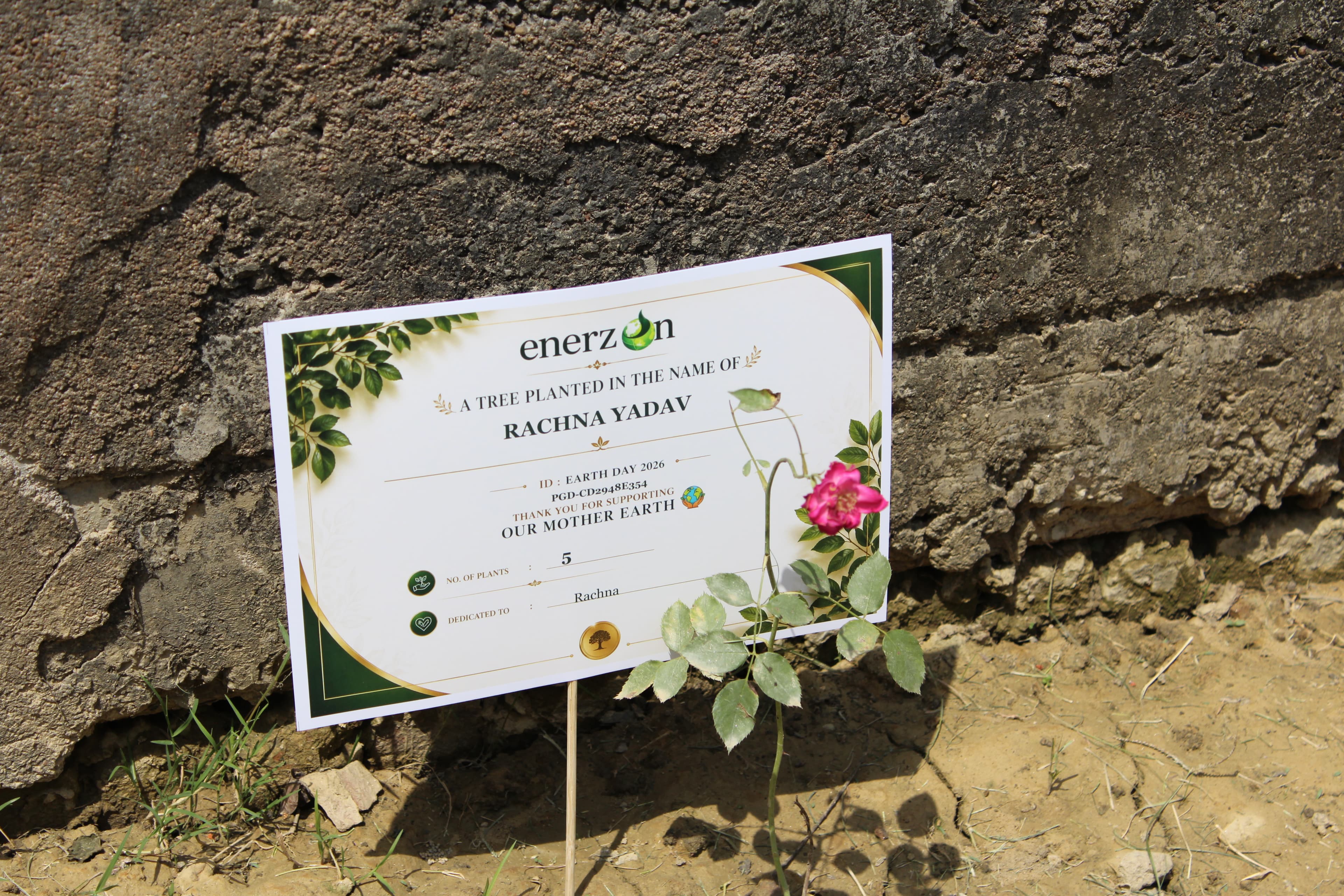 We Planted Nearly 1,000 Trees in Lucknow. Here's Why It Mattered More Than We Expected. thumbnail preview: img 3345